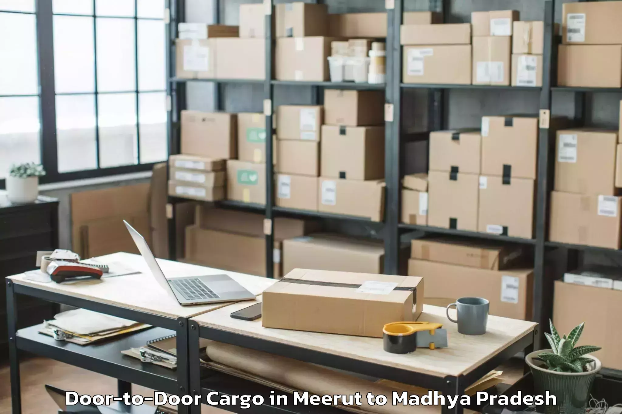 Book Meerut to Malanjkhand Door To Door Cargo Online